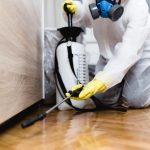 Commercial Pest Control Services: Maintaining Cleanliness and Compliance in Your Business