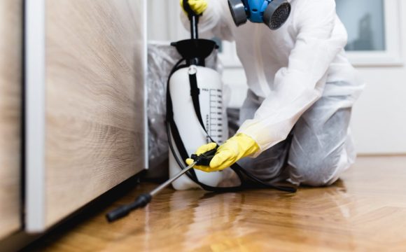 Commercial Pest Control Services: Maintaining Cleanliness and Compliance in Your Business