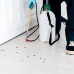 Pest Control Sydney: FAQs Answered