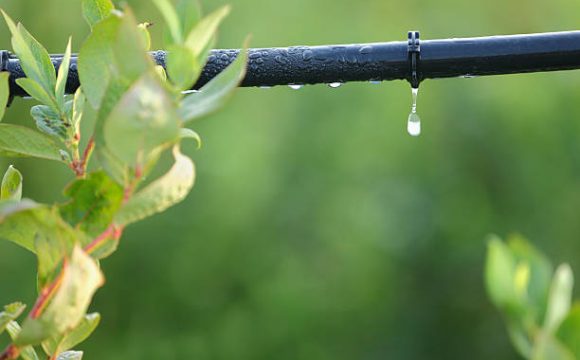 Types of Irrigation Systems: A Comprehensive Guide to Surface, Drip, and Sprinkler Methods