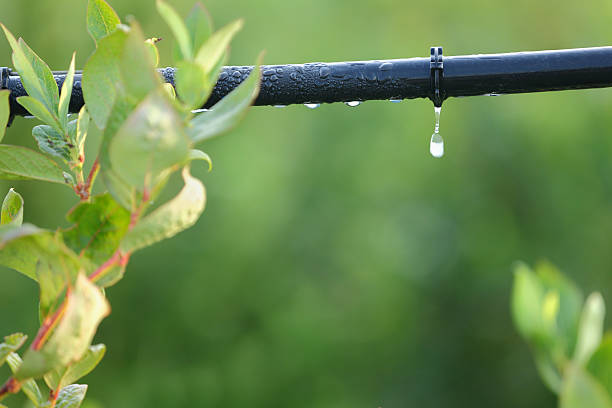 Types of Irrigation Systems: A Comprehensive Guide to Surface, Drip, and Sprinkler Methods