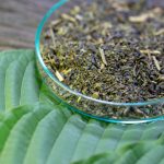 White Sumatra Kratom Benefits and Uses